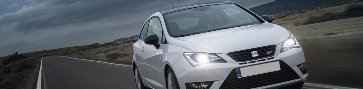 DrakeBox Chip tuning Seat Leon Diesel performance 2.0 TDI CR 150 hp