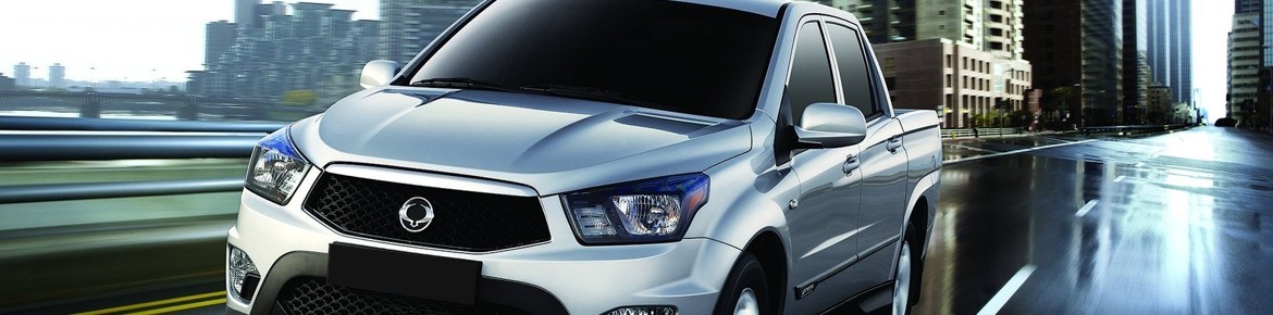 DrakeBox Chip tuning Ssangyong Rodius Diesel performance 2.7 XDI 165 hp