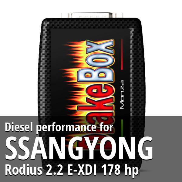 Diesel performance Ssangyong Rodius 2.2 E-XDI 178 hp